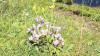 IMG 0351 IMG 0351
