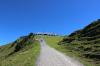 IMG 0383 IMG 0383