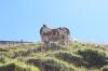 IMG 0393 IMG 0393