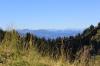 IMG 0395 IMG 0395