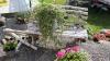 IMG 0063 IMG 0063