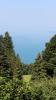 IMG 0055 IMG 0055