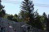 IMG 0099 IMG 0099