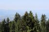 IMG 0108 IMG 0108