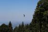 IMG 0132 IMG 0132