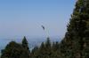 IMG 0133 IMG 0133