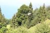 IMG 0154 IMG 0154