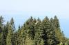 IMG 0158 IMG 0158