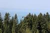 IMG 0159 IMG 0159