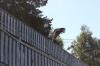 IMG 0185 IMG 0185