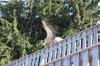 IMG 0192 IMG 0192