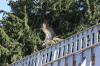 IMG 0193 IMG 0193