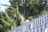 IMG 0194 IMG 0194