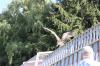 IMG 0199 IMG 0199