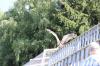IMG 0200 IMG 0200
