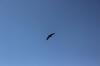 IMG 0210 IMG 0210