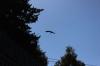 IMG 0212 IMG 0212