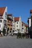 IMG 0308 IMG 0308