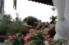IMG 0034 IMG 0034