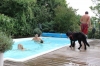 IMG 0036 IMG 0036