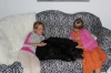 IMG 0050 IMG 0050