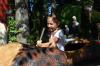 IMG 0051 IMG 0051