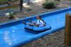 IMG 0091 IMG 0091