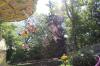 IMG 0106 IMG 0106