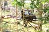 IMG 0125 IMG 0125