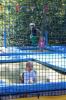 IMG 0134 IMG 0134
