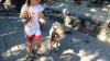 IMG 0182 IMG 0182
