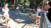 IMG 0183 IMG 0183