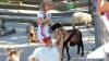 IMG 0184 IMG 0184