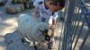 IMG 0203 IMG 0203