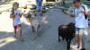 IMG 0204 IMG 0204