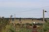 IMG 0013 IMG 0013