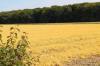 IMG 0030 IMG 0030
