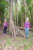 IMG 0045 IMG 0045