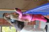 IMG 0110 IMG 0110