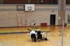 IMG 0113 IMG 0113
