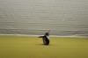 IMG 0285 IMG 0285