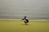 IMG 0286 IMG 0286