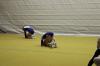 IMG 0306 IMG 0306