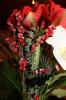 IMG 0007 IMG 0007