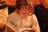 IMG 0012 IMG 0012