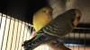 IMG 0071 IMG 0071