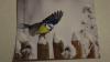 IMG 0147 IMG 0147