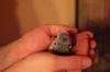 IMG 0010 IMG 0010