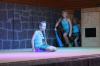IMG 0095 IMG 0095