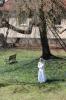 IMG 0179 IMG 0179